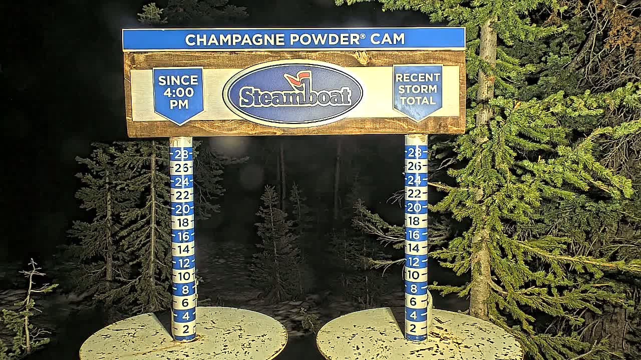 A nighttime view of a snow depth gauge showing recent snowfall in a snow covered forest.