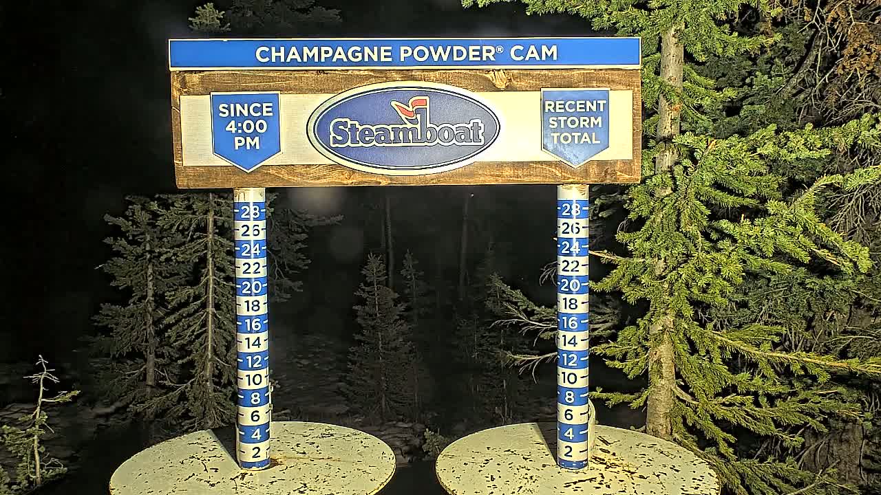 A nighttime snow gauge shows recent snowfall accumulation against a backdrop of evergreen trees under snowy conditions.