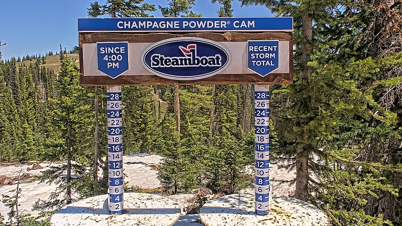 A snow depth gauge and sign stand in a sunny area, surrounded by evergreen trees and patches of snow.