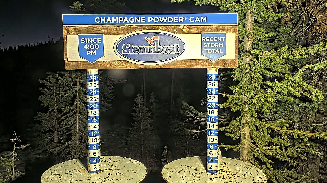 At night, a snow depth gauge shows recent snowfall in a snow-covered forest.