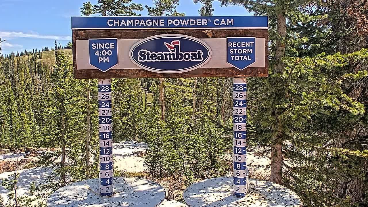 A snow depth gauge and sign showing recent snowfall in a sunny area with evergreen trees and patches of snow on the ground.