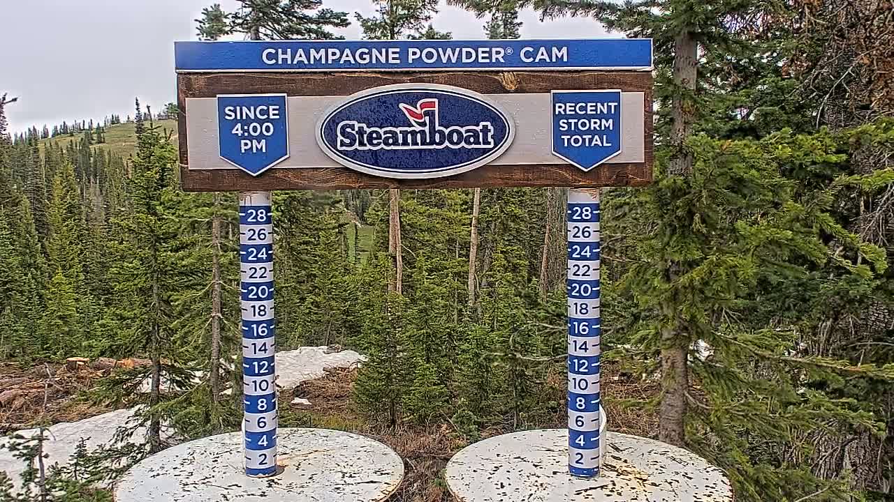 A snow depth gauge and sign displaying snowfall measurements stand amidst evergreen trees on an overcast day.