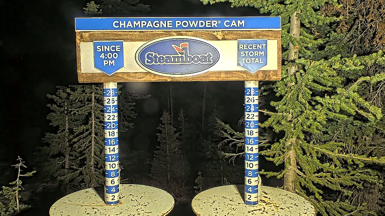 A nighttime snow gauge shows snowfall accumulation in a snowy forest.