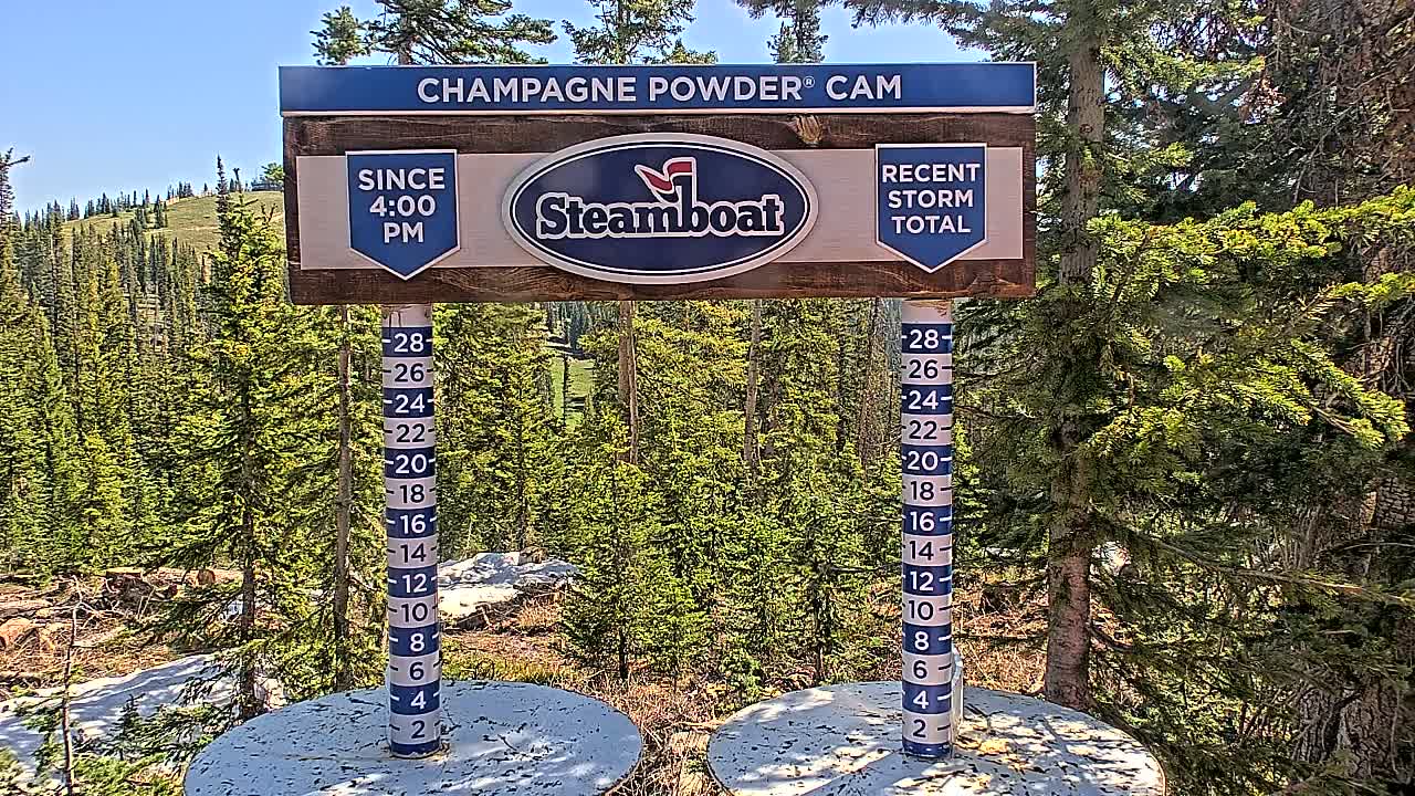 A snow depth gauge and sign indicating recent snowfall are situated outdoors on a sunny day amongst evergreen trees and a distant hillside.