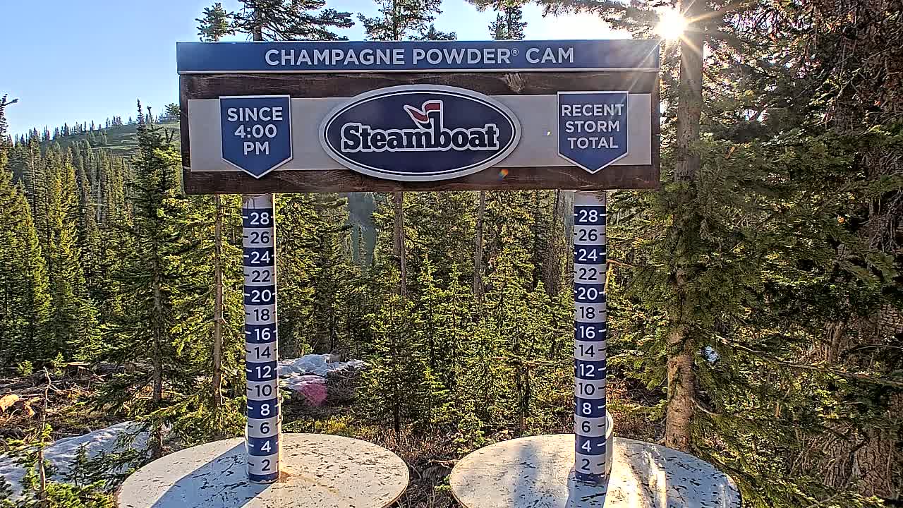 A sunny outdoor scene shows a snow depth gauge in front of a forest of evergreen trees.