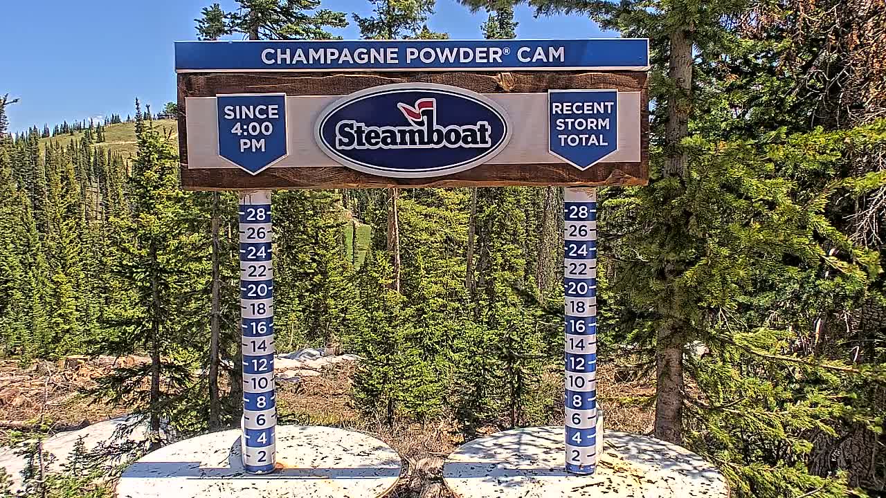 A snow depth measurement gauge stands in front of a dense evergreen forest under a clear, sunny sky.