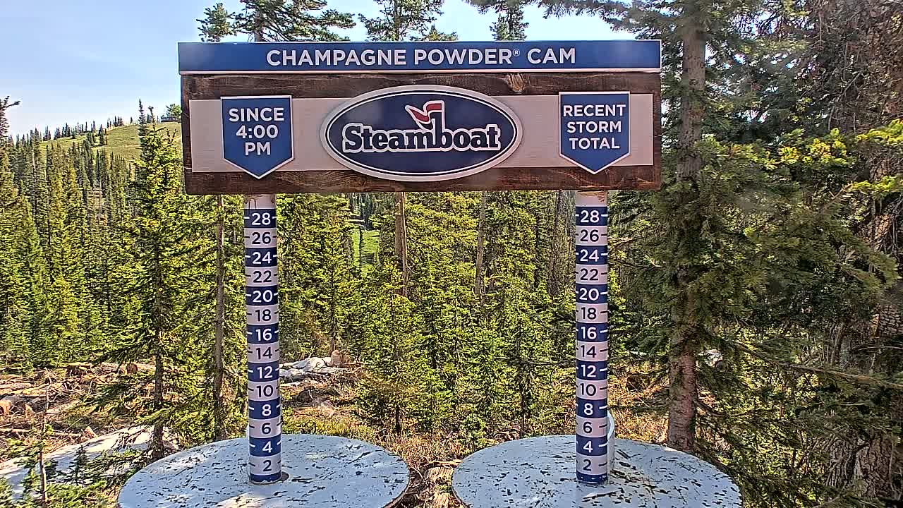 A wooden sign displaying snowfall measurements stands amidst a sunny, forested landscape.
