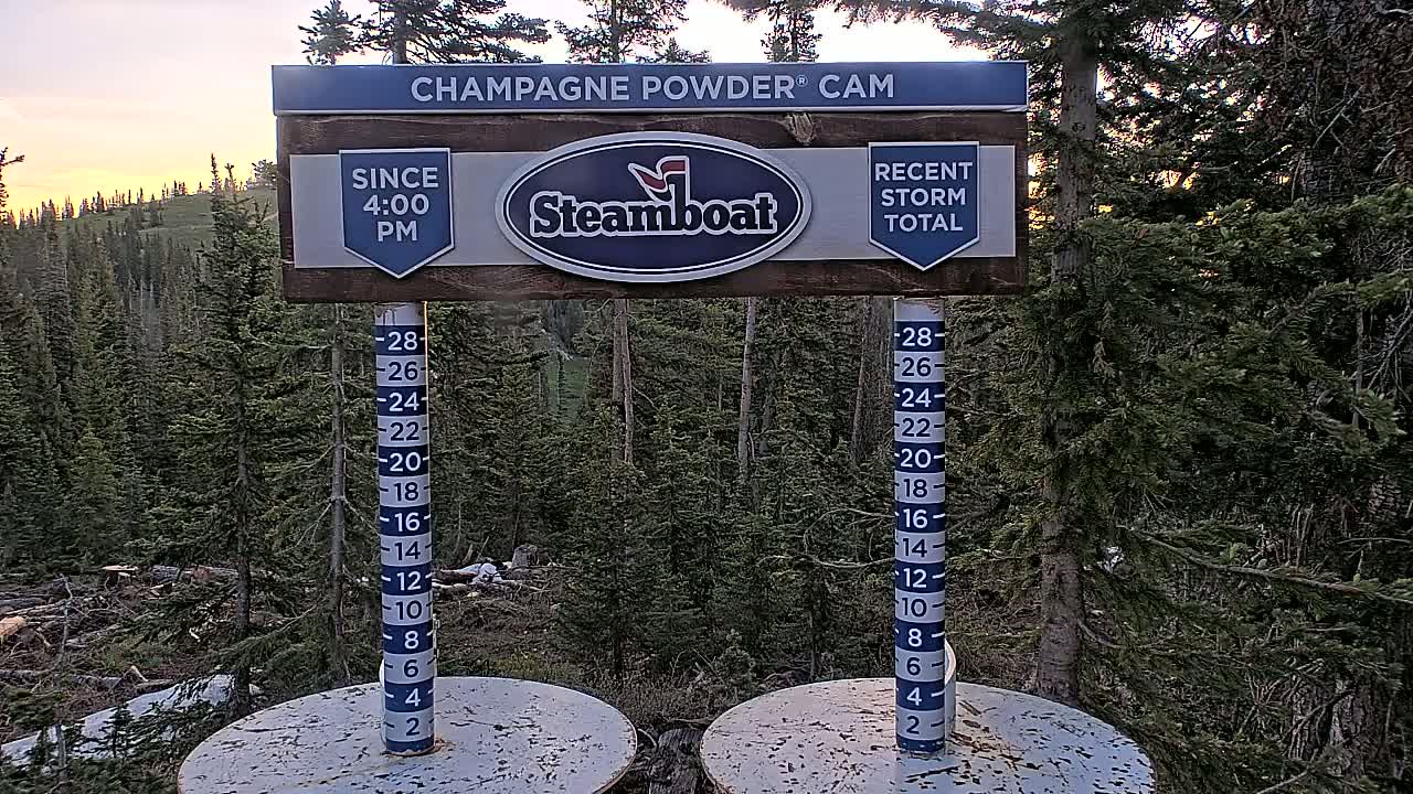 A sunset illuminates a snow depth gauge in a coniferous forest.