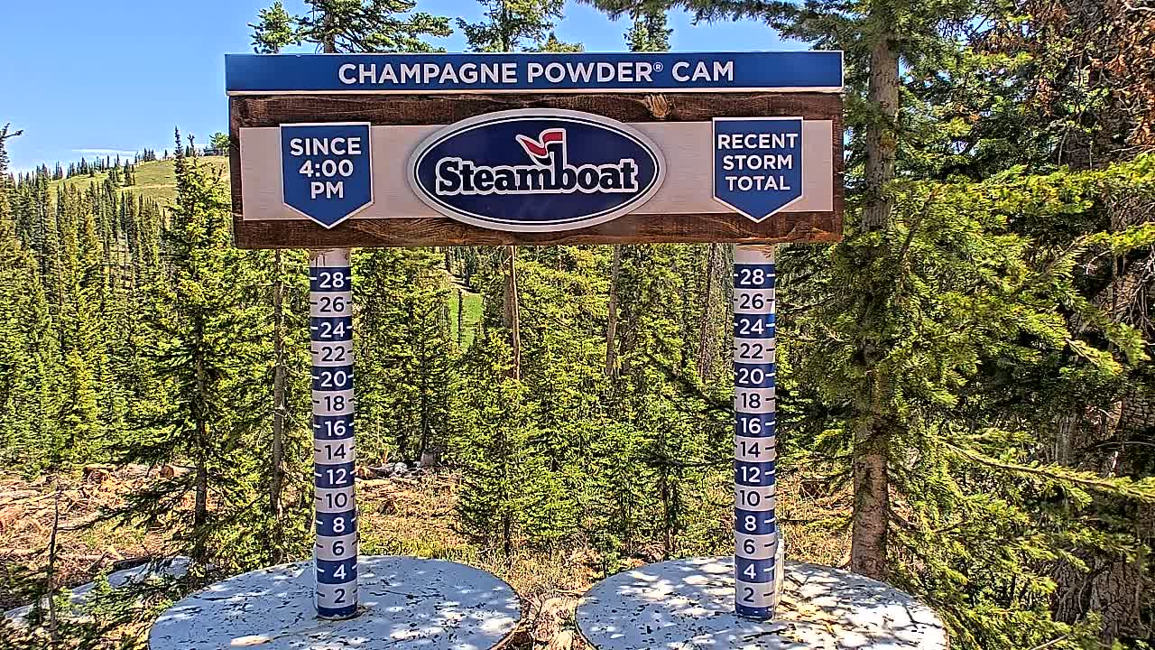 A snow measurement gauge and sign stand in front of a coniferous forest on a sunny day.