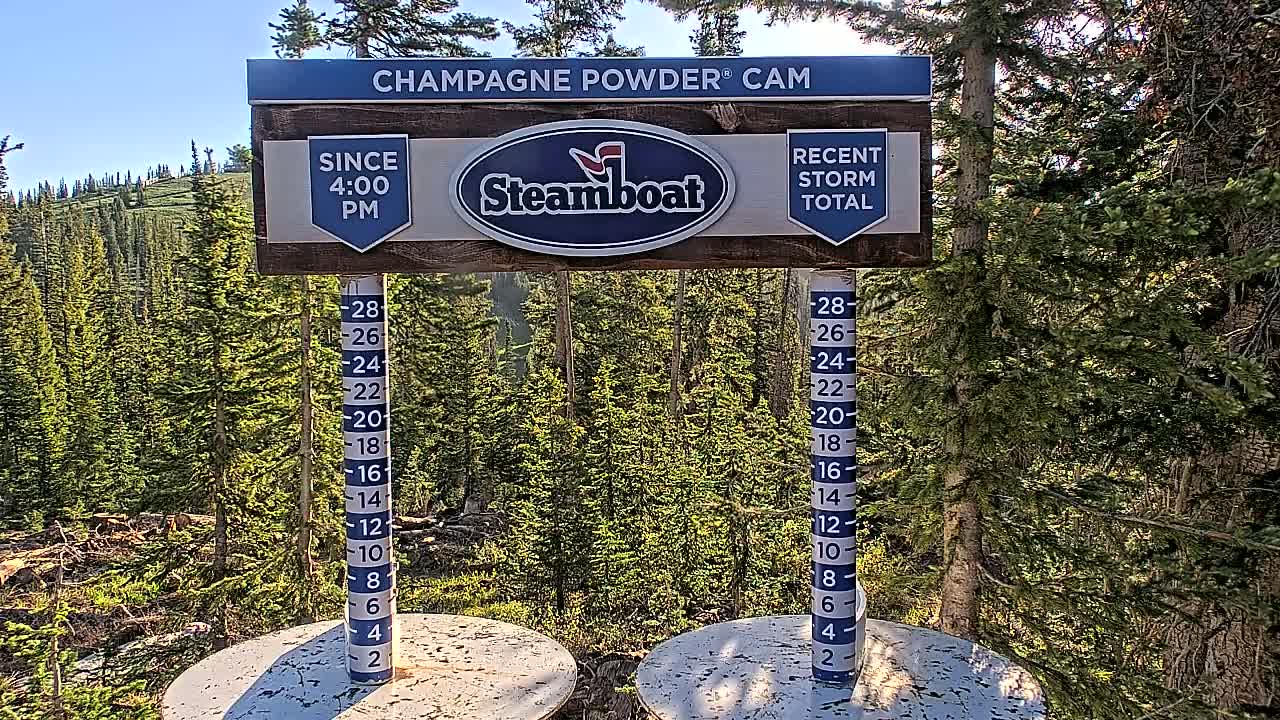 A snow depth gauge and a sign indicating recent snowfall are situated in a sunny, forested area.