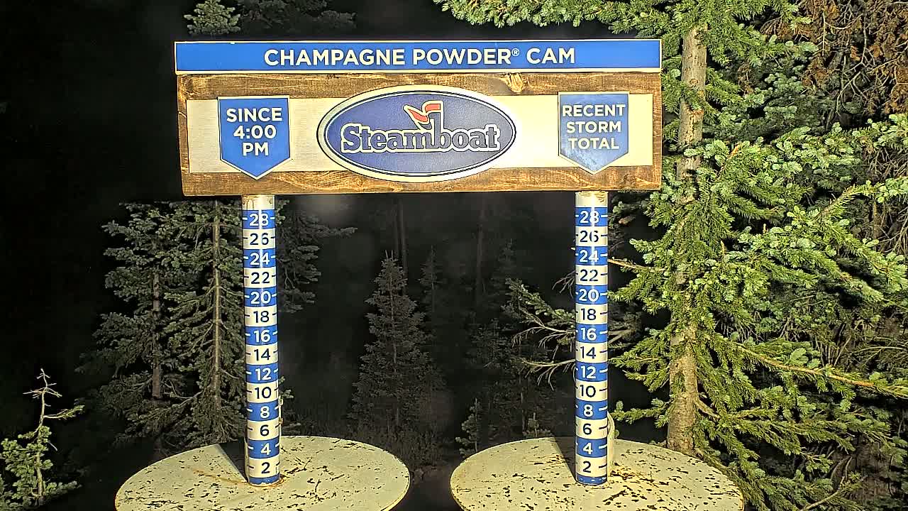 At night, a snow depth gauge stands in front of evergreen trees.