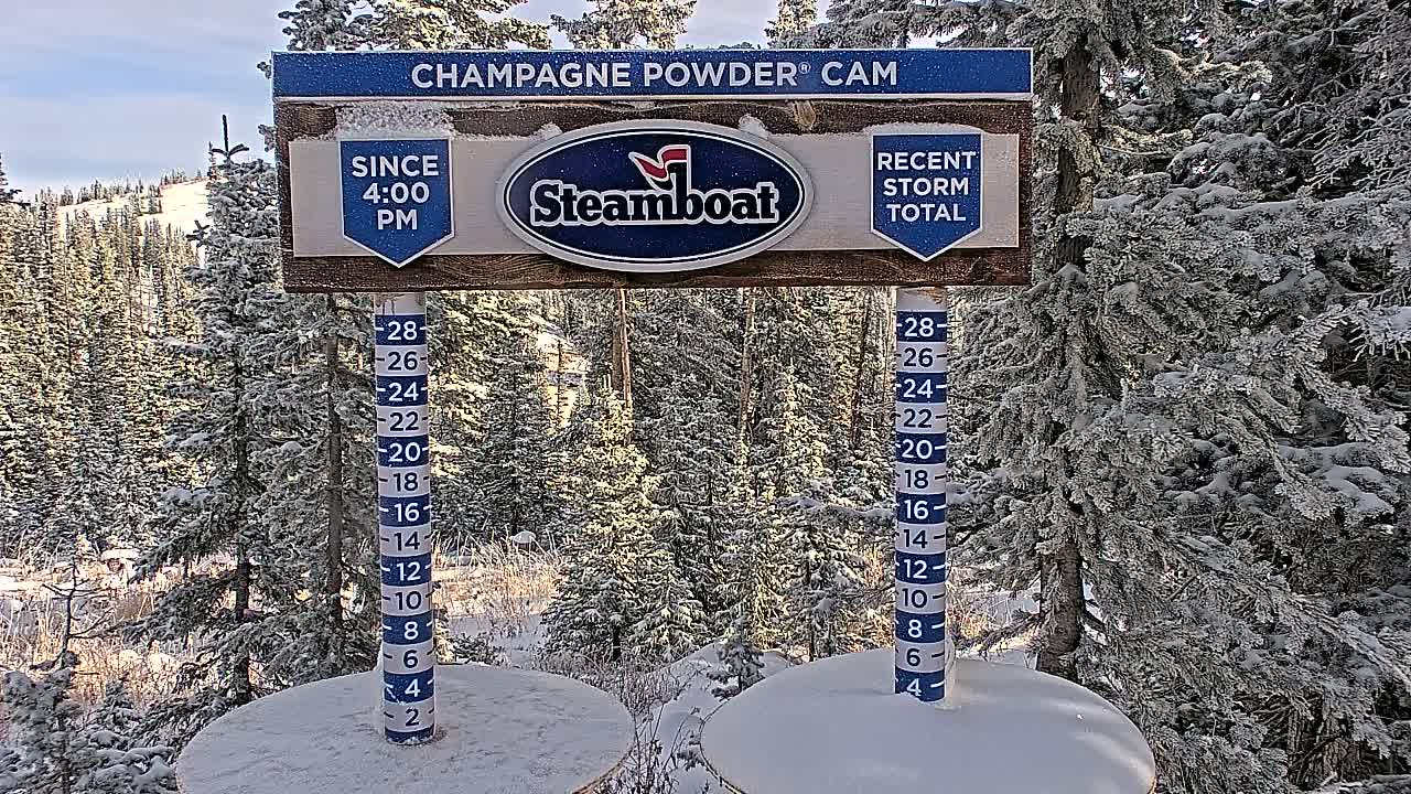 At night, two snow measurement devices stand beside each other in front of evergreen trees.