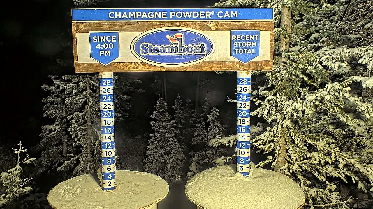 A nighttime scene in a snowy forest features two illuminated snow depth markers emerging from mounds of fresh snow, surrounded by evergreen trees heavily blanketed in white, indicating cold, recent snowfall.