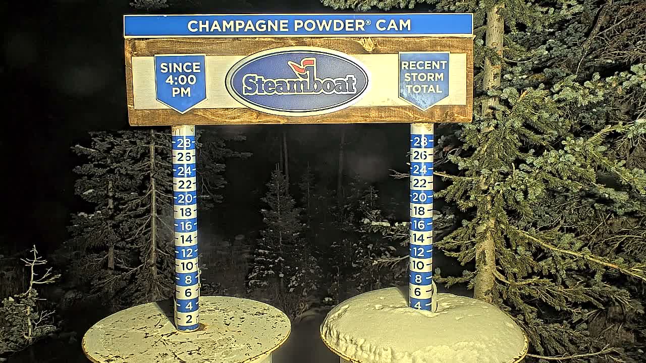 An outdoor snow depth measurement setup, featuring two vertical poles marked with numbers and two snow-covered circular platforms, is illuminated against a dark, snowy forest background at night.