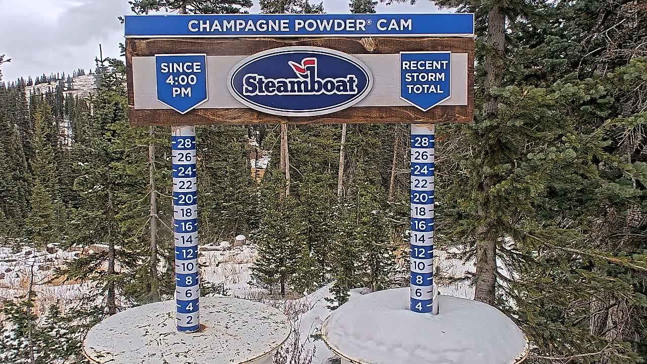 Two snow depth measuring poles stand in a snow-covered evergreen forest with distant snowy peaks under an overcast sky.