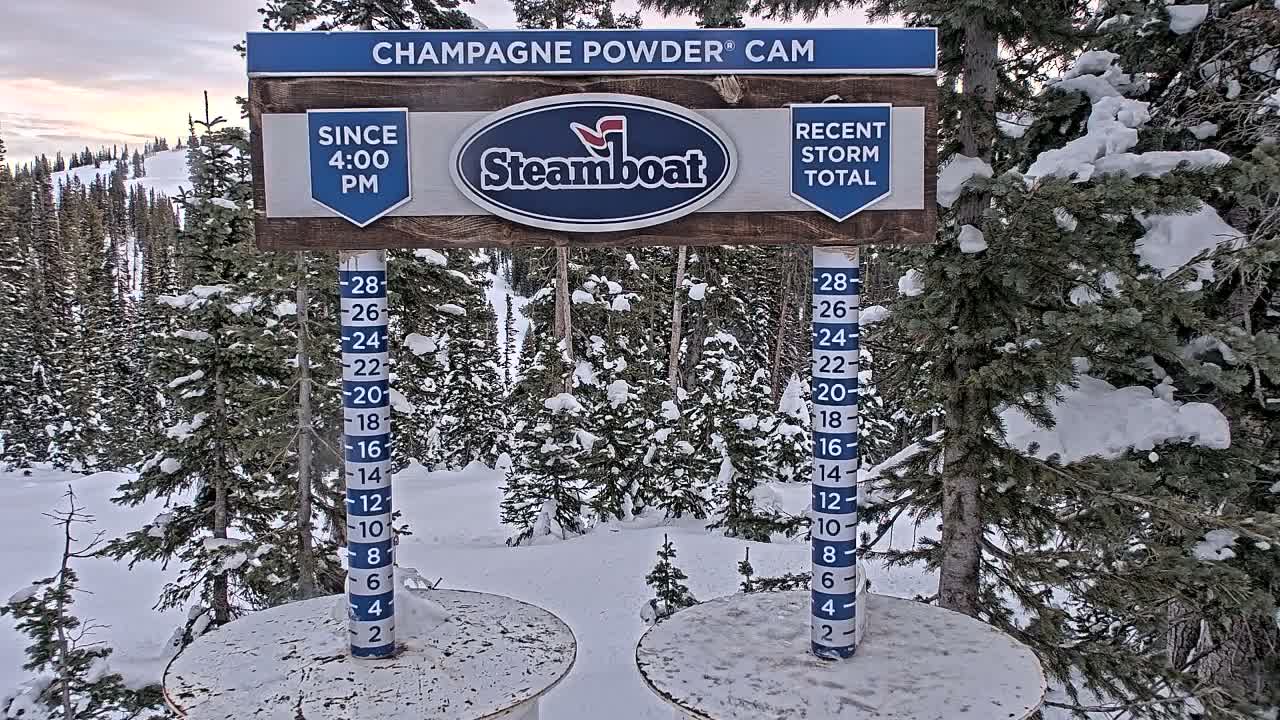 At night, a snow-covered wooden sign stands above two snow measurement stakes amidst a dense forest of heavily snow-laden trees, indicating deep, fresh snowfall.
