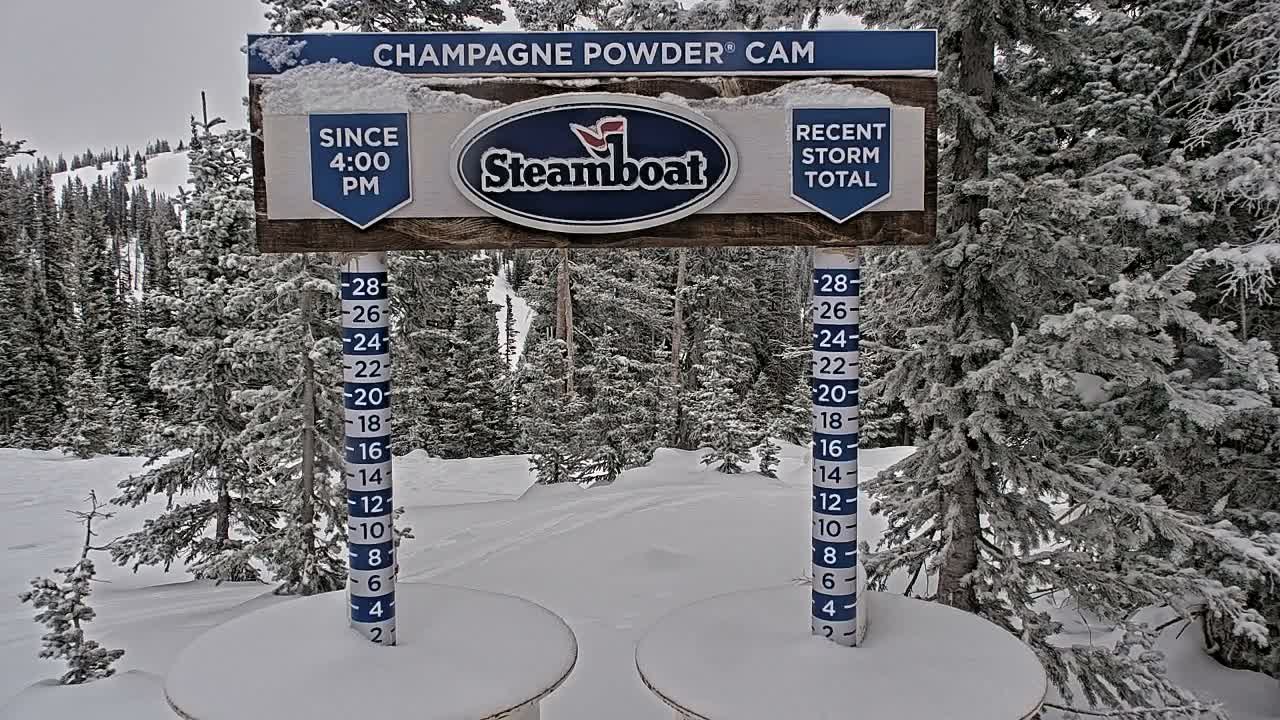 Steamboat Springs Sunshine Peak & Champagne Powder Live Cam - Steamboat Springs, Routt County, Colorado, USA