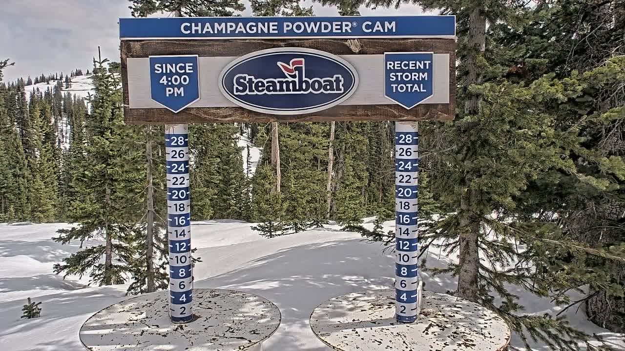 At night, a snow-covered wooden sign stands above two snow measurement stakes amidst a dense forest of heavily snow-laden trees, indicating deep, fresh snowfall.