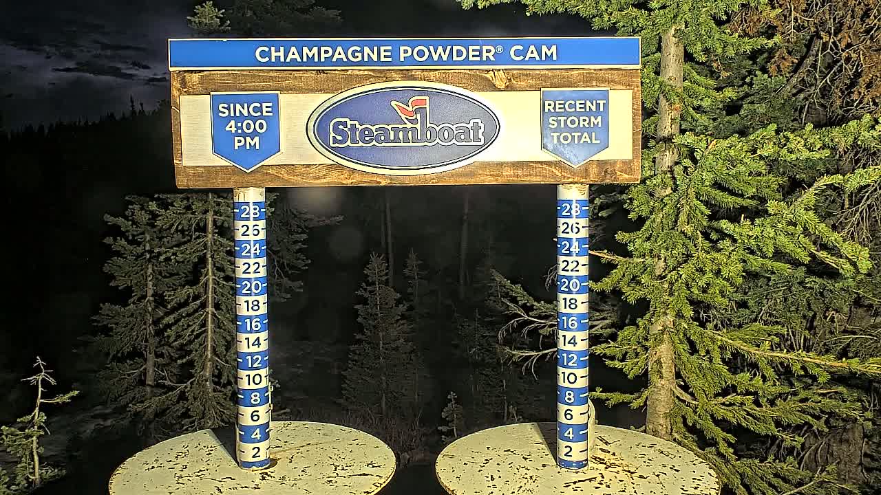 A nighttime view of a snow depth gauge showing recent snowfall, with evergreen trees in the background.