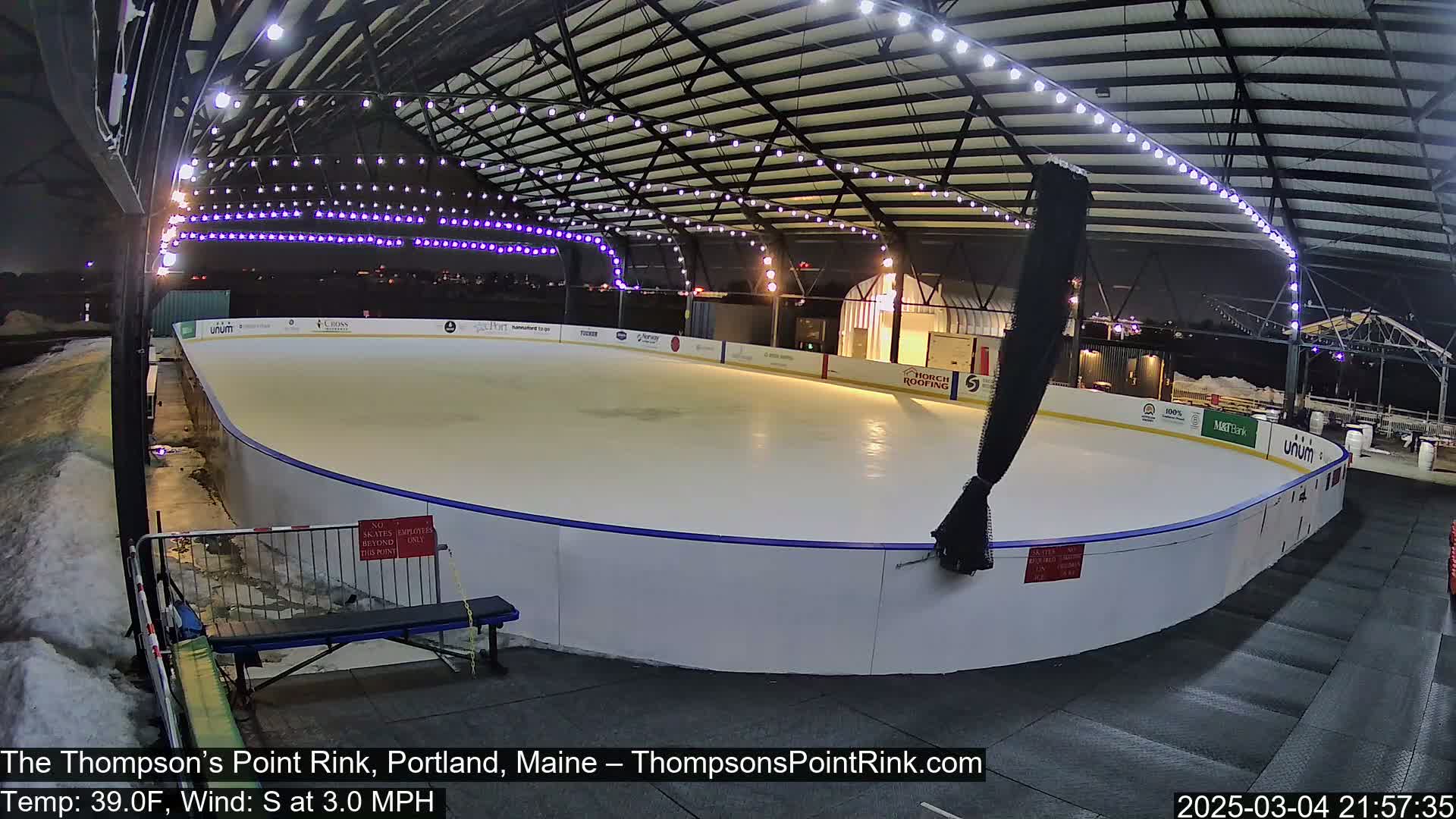 An outdoor ice rink at night, lit by strings of lights, with a surrounding snow-covered area, under a clear sky.