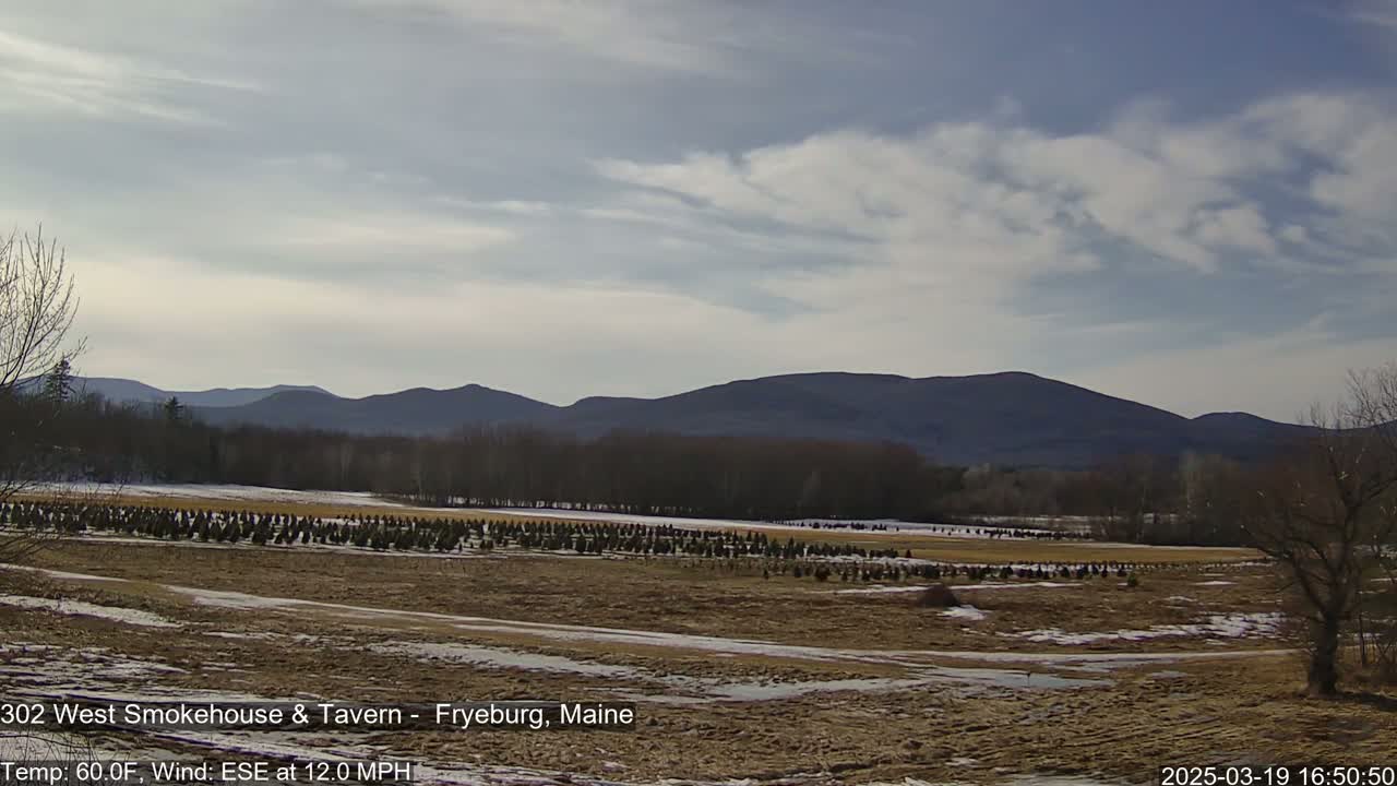 A field of young evergreen trees stretches across a flat expanse of land, with a line of dark, distant mountains under a partly cloudy sky.