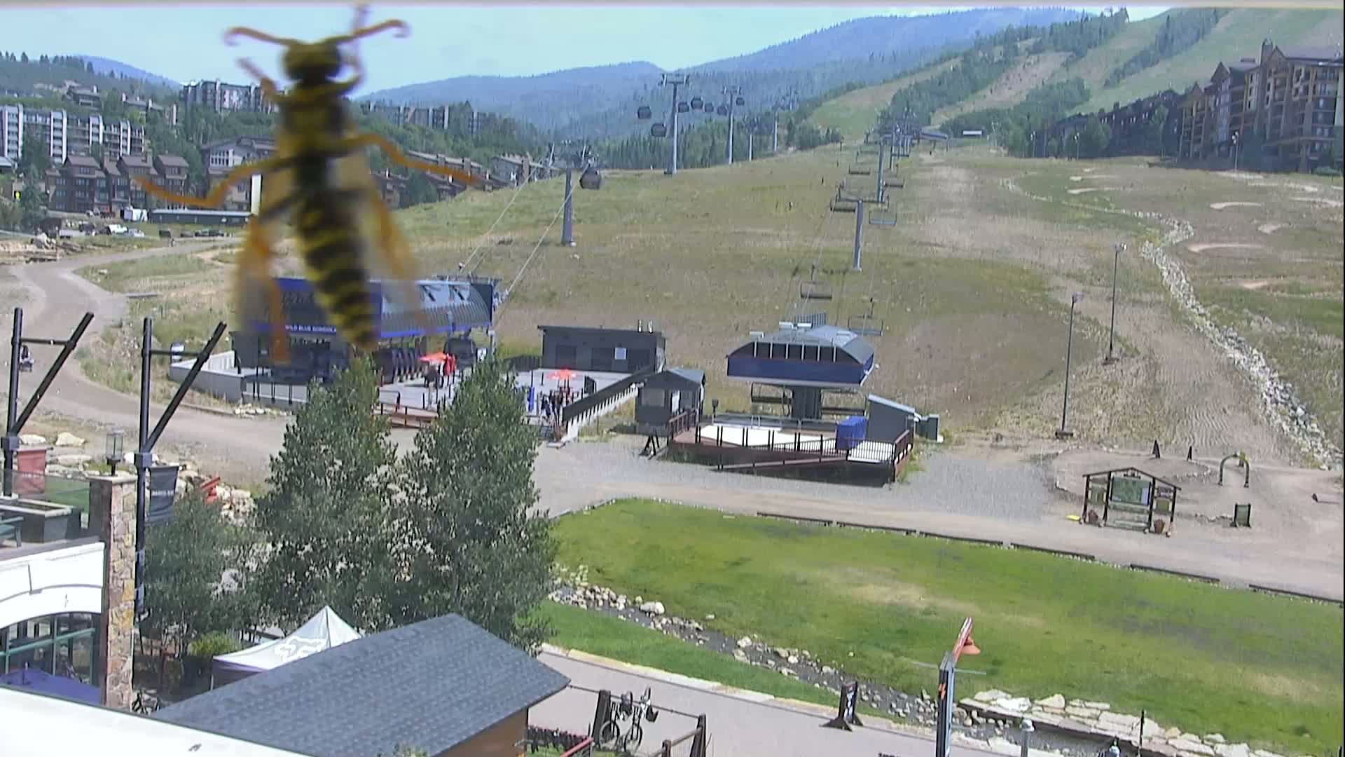Steamboat Resort Christie Peak Express & Wild Blue Gondola Ropeway & Ski Slopes Live Cam - Steamboat Springs, Routt County, Colorado, USA