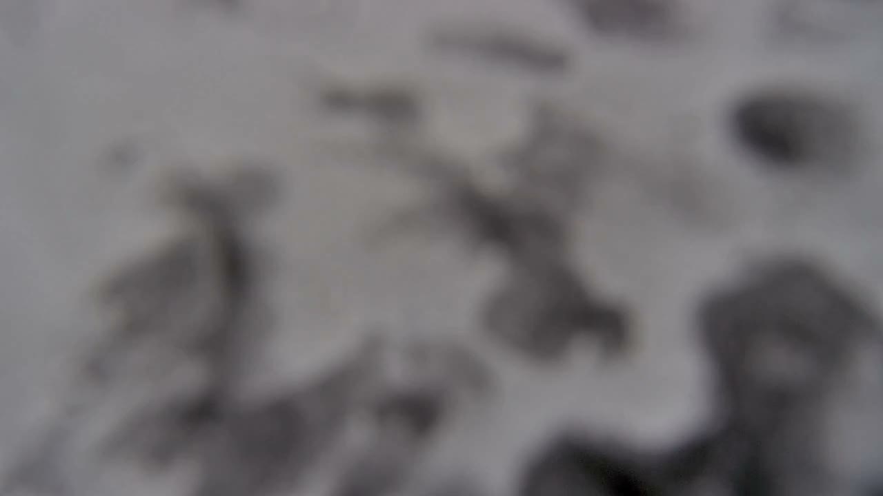 Steamboat Springs City Skyline from Thunderhead Lodge Roof Live Cam - Steamboat Springs, Routt County, Colorado, USA