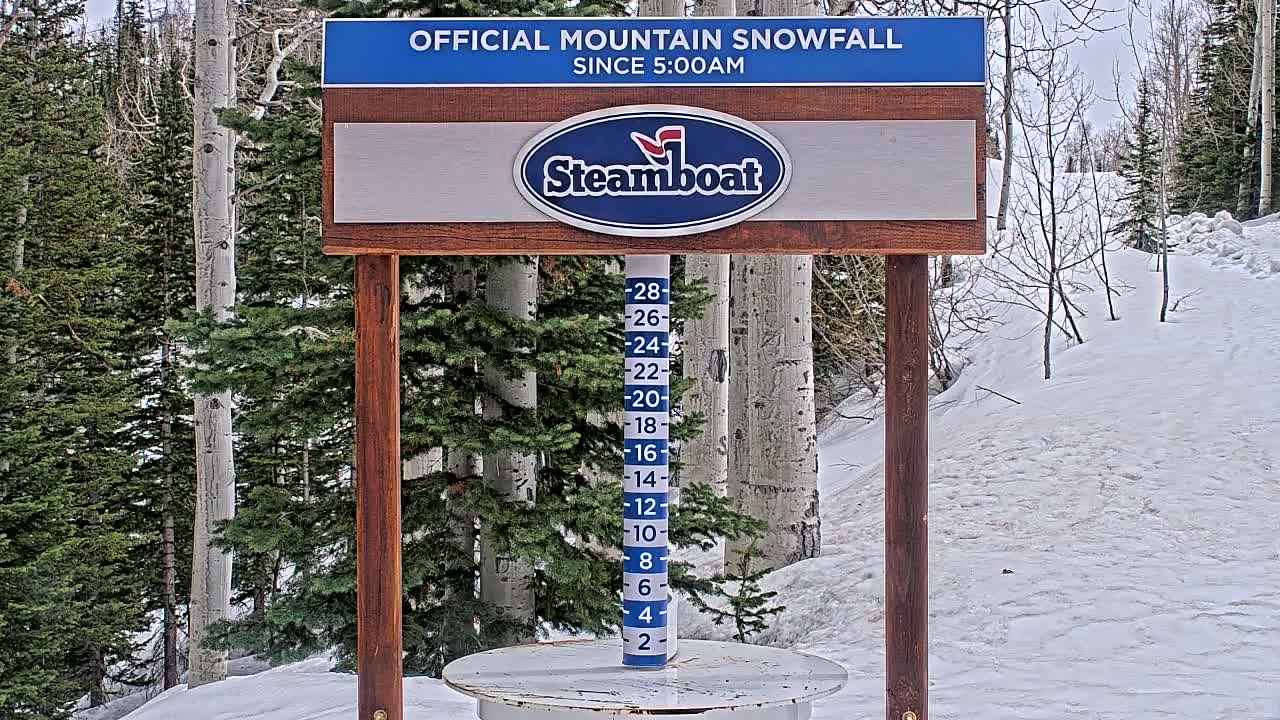 A snow-covered mountain slope with evergreen trees is next to a wooden sign displaying a snowfall measurement.
