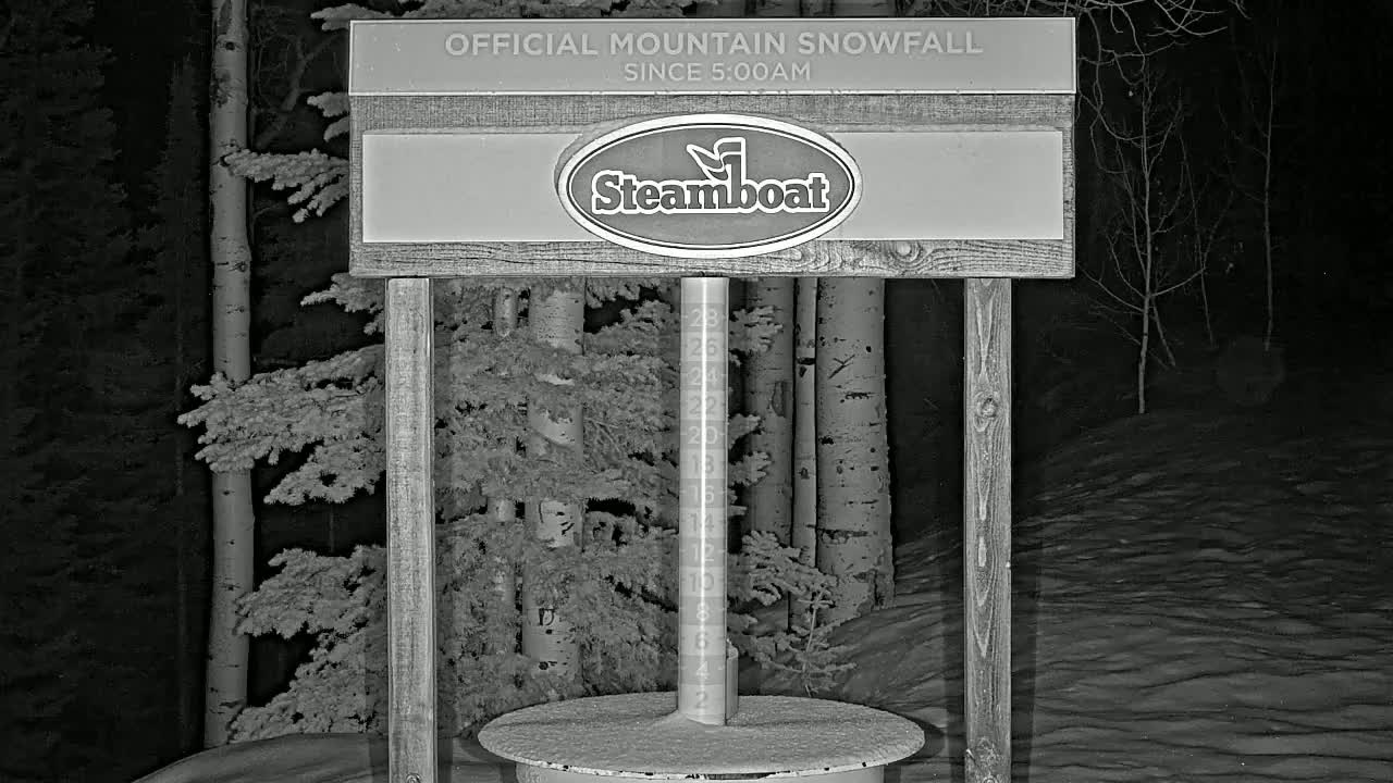 A snow-measuring device stands in a snowy, nighttime forest setting.
