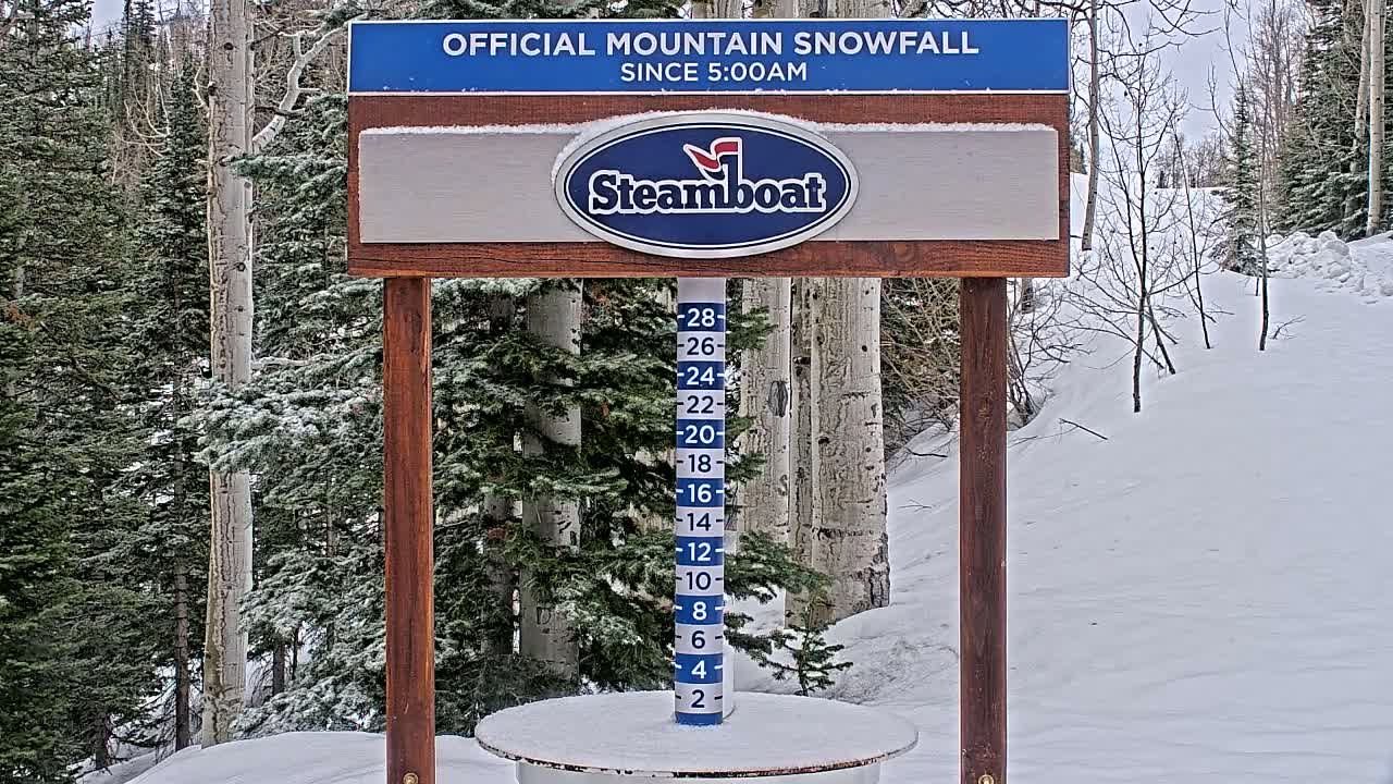 A snow-covered mountain scene with a wooden sign displaying a snowfall measurement beside a stand of snow-dusted evergreens under an overcast sky.