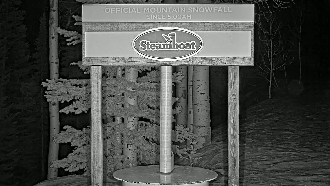 A nighttime snow-covered scene shows a wooden snow measurement device with a numbered pole in front of a stand of aspen and evergreen trees.