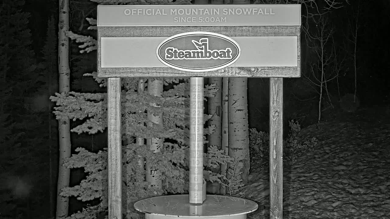 A snow-measuring device stands in a snow-covered wooded area at night, surrounded by snow-dusted trees.