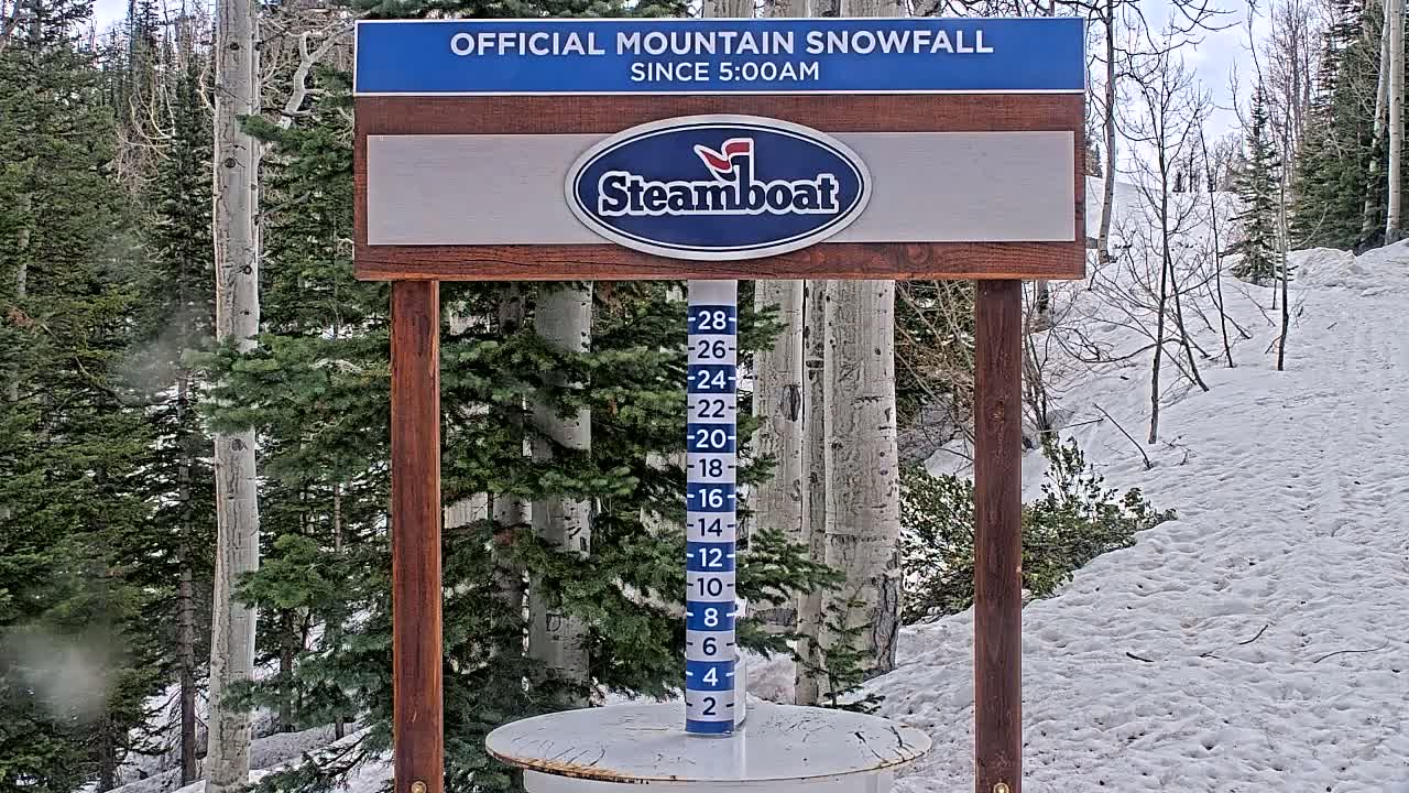 A snow depth gauge stands in a snowy, wooded area under a partly cloudy sky.