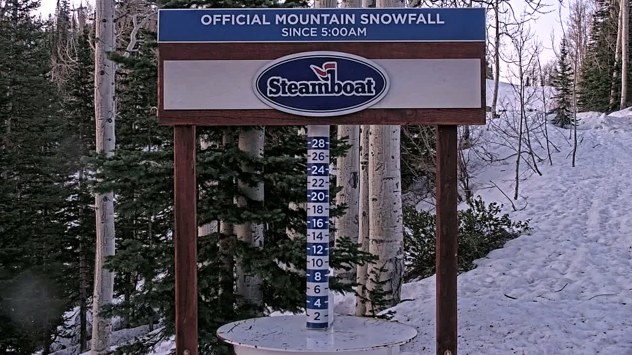 A snow depth gauge shows a significant snowfall amount in a snowy, wooded area with aspen trees.