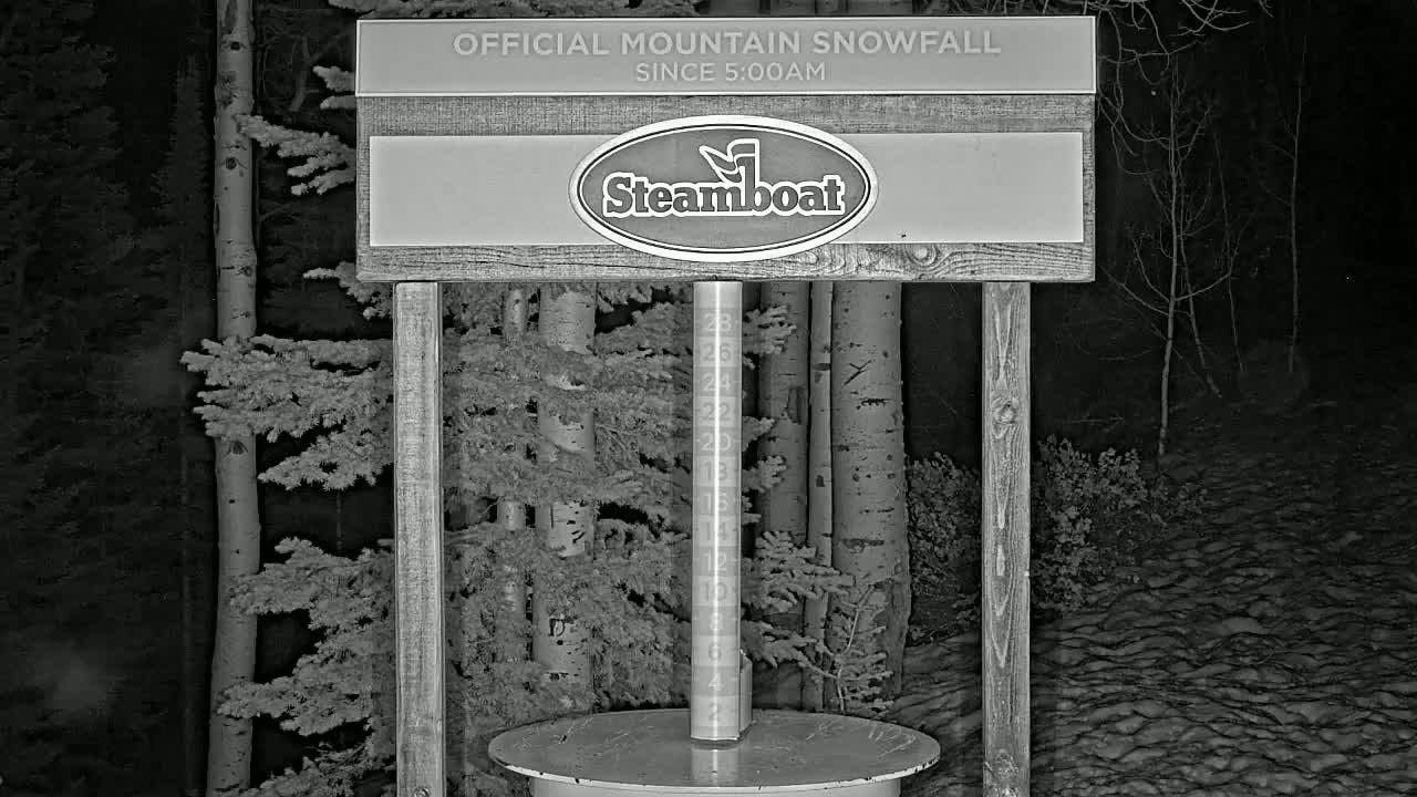 A nighttime snow gauge stands in a snowy forest of aspen and evergreens.