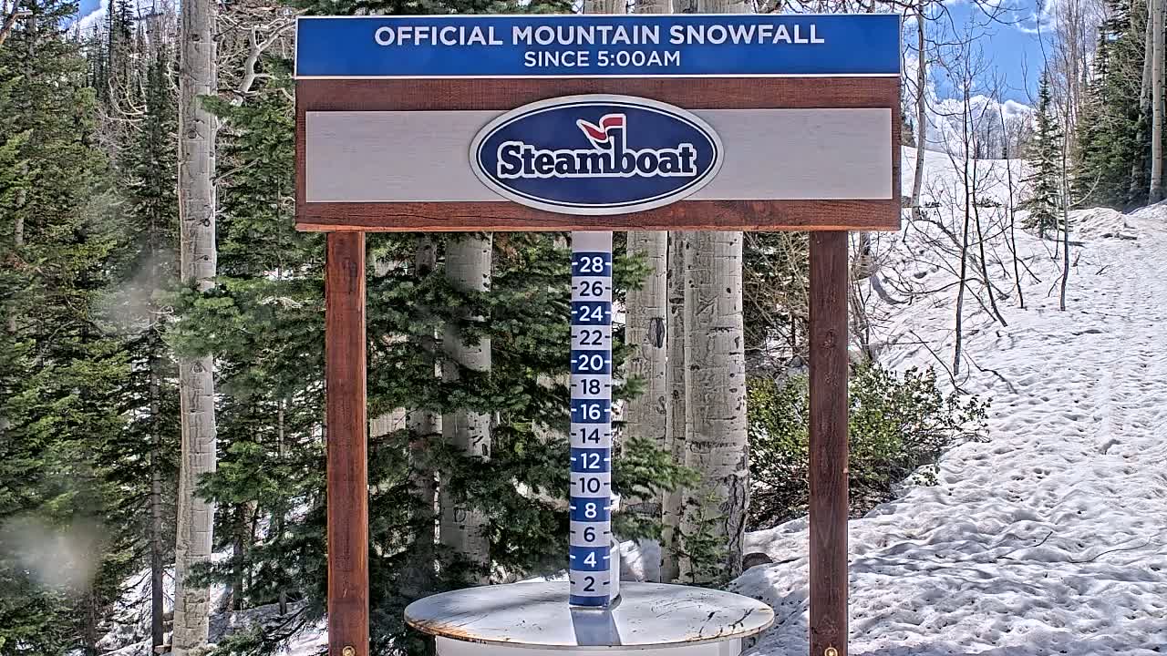 A snow-measuring device stands in a snowy landscape, surrounded by evergreen and aspen trees under a partly sunny sky.