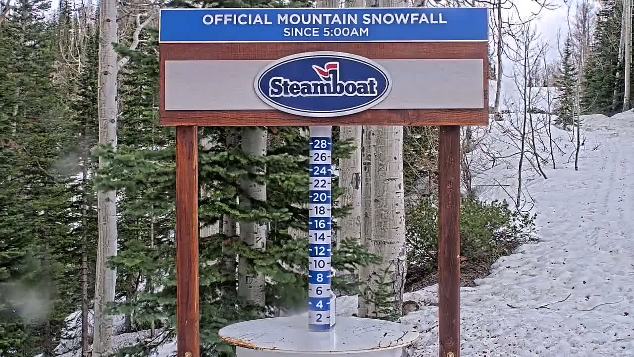 A snow depth gauge stands on a round base in a snowy landscape of aspen and evergreen trees.