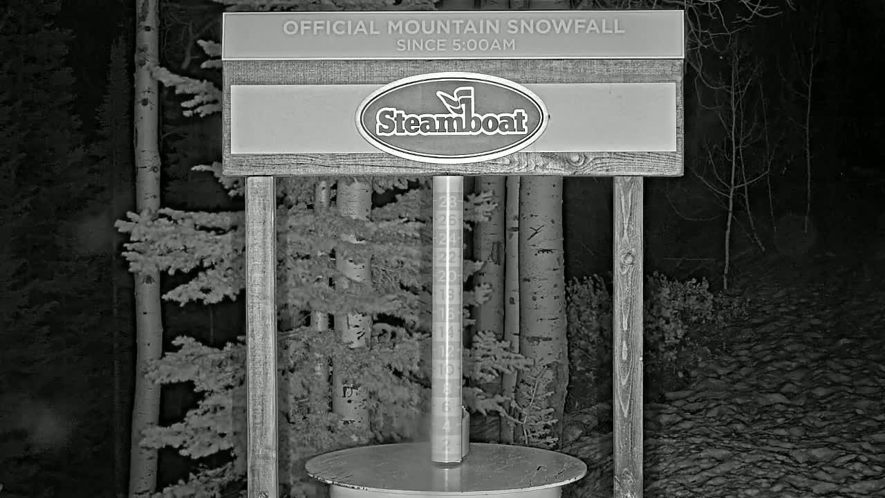 A snow gauge stands in a snow-covered forest at night.