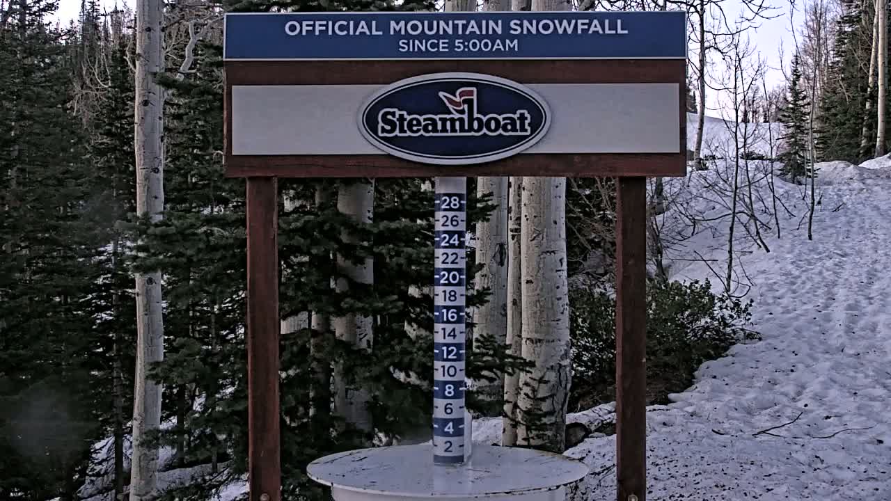 A snow-covered mountain landscape with aspen trees, shows a snow measurement gauge indicating recent snowfall.