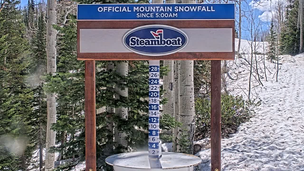 A wooden snow measurement marker stands in a snowy area amongst aspen and evergreen trees under a partly sunny sky.