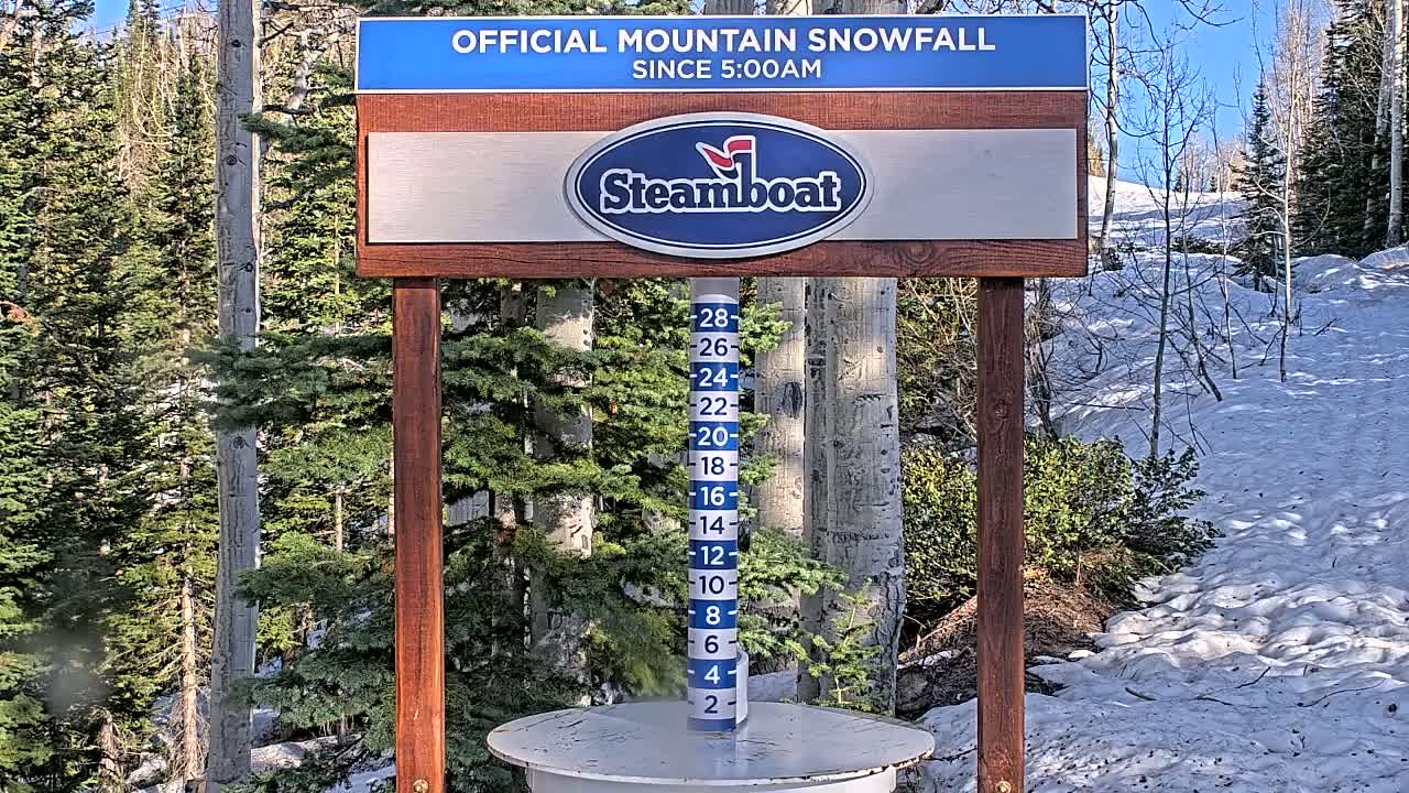 A snow-measuring stick stands on a snow-covered ground in a sunny, wooded area.