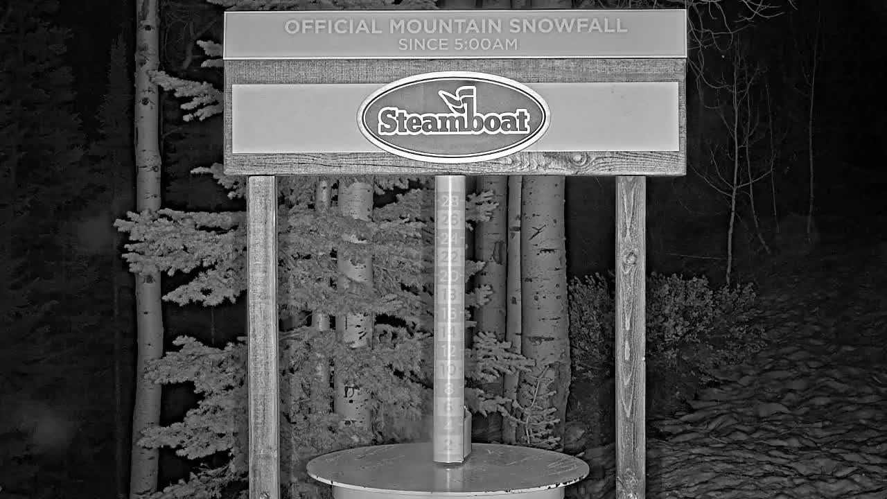 A snow-measuring device stands in a snow-covered forest at night.