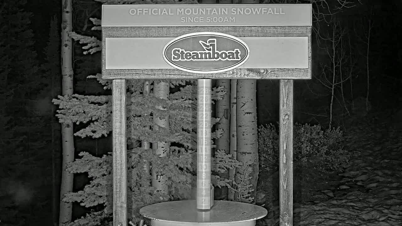 A nighttime, snow-covered scene shows a wooden snow measurement device situated among aspen trees.