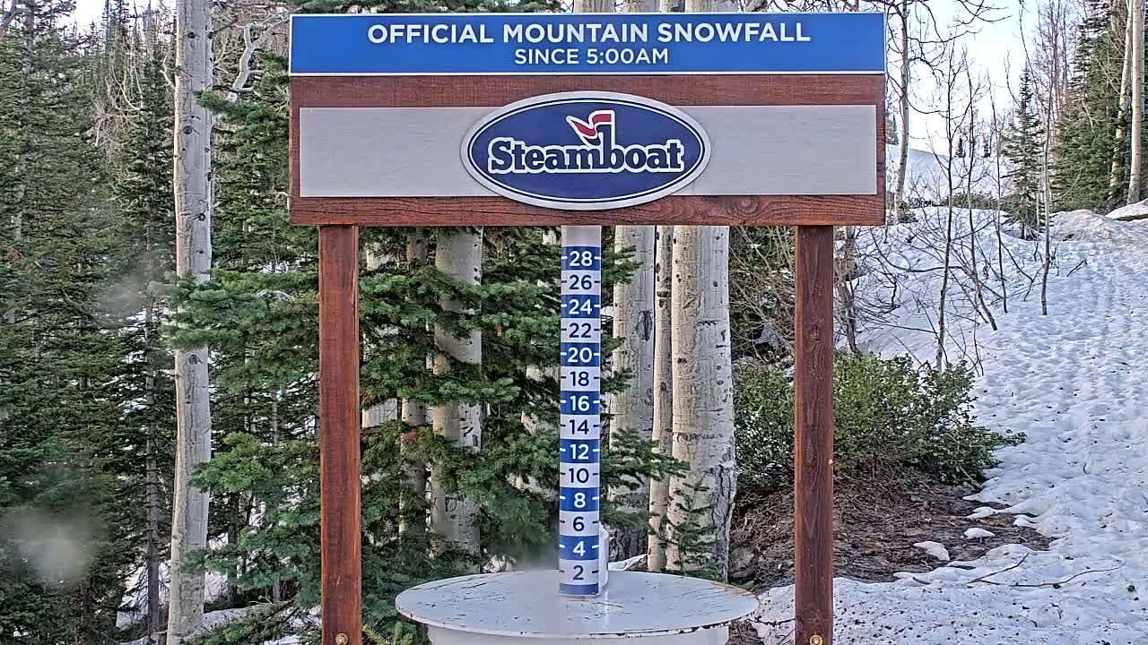 A snow measurement gauge showing recent snowfall stands in a snowy area surrounded by evergreen and aspen trees.