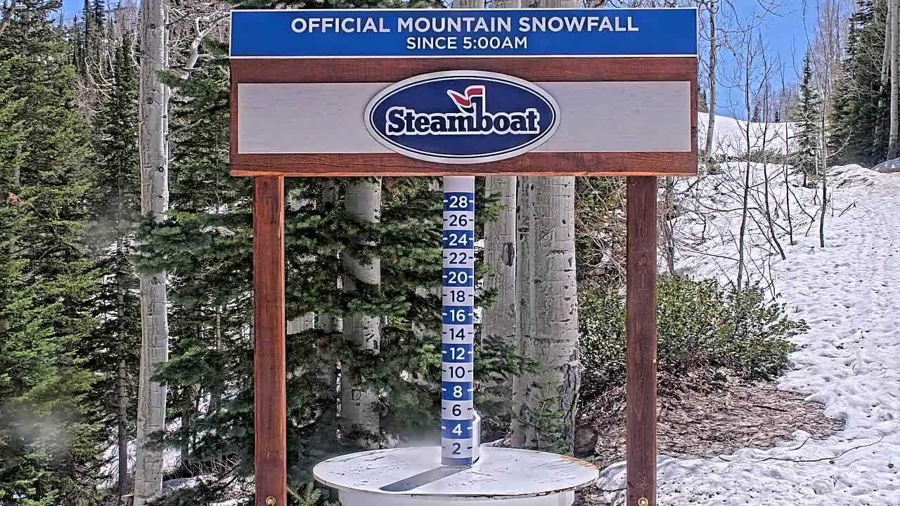 A snow depth gauge shows recent snowfall in a snowy mountain area with aspen and pine trees under a sunny sky.