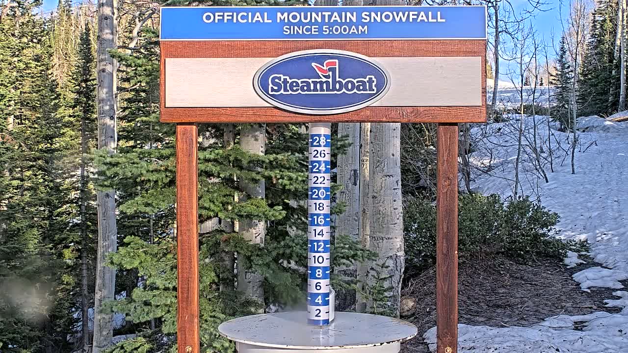 A snow measurement gauge shows snowfall accumulation in a snowy mountain forest under a sunny sky.