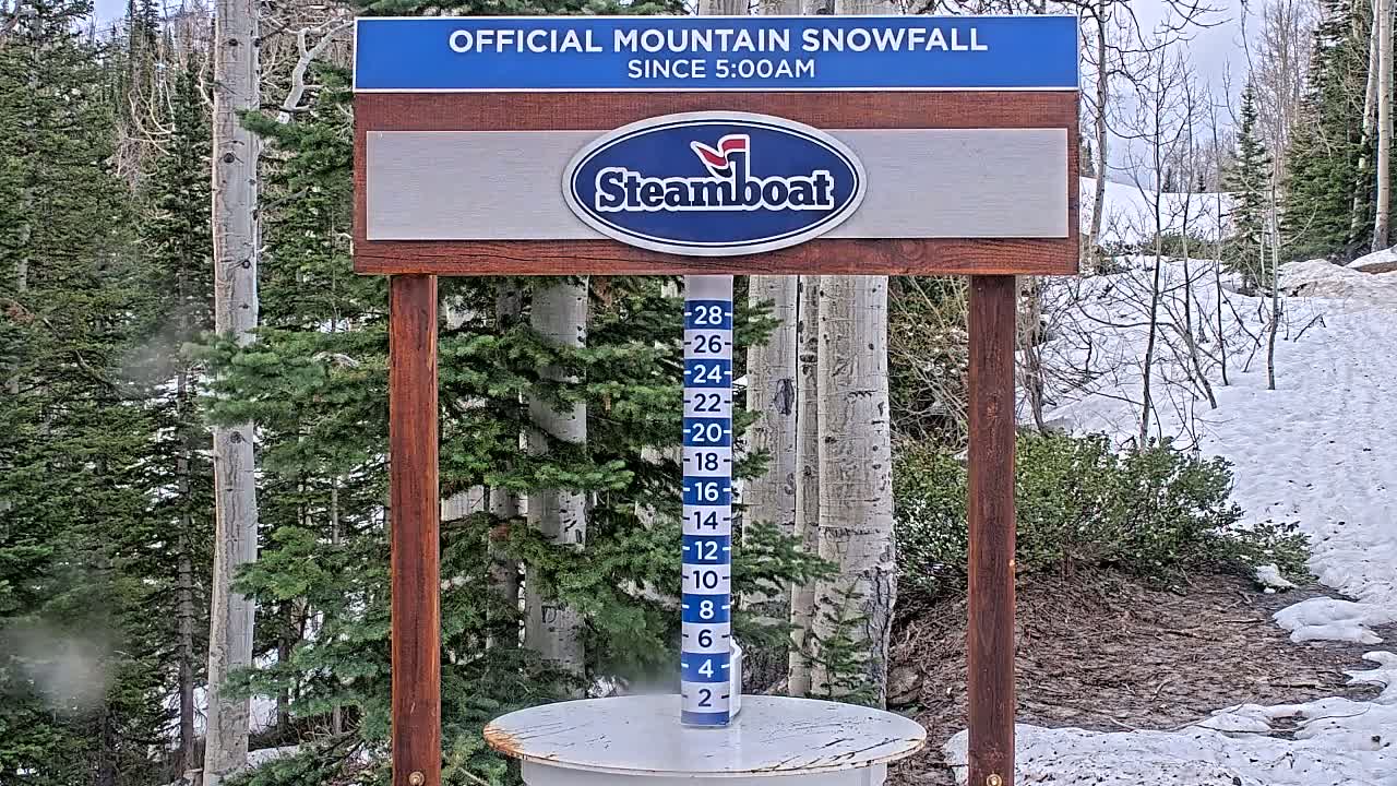 A snow-measuring device stands in a snowy area surrounded by evergreen and aspen trees under an overcast sky.