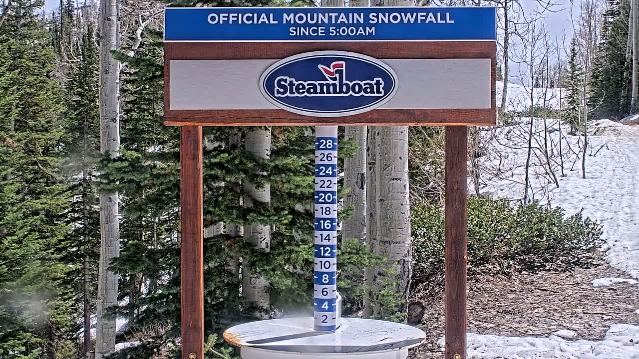 A snow depth gauge shows recent snowfall in a snowy, wooded area.