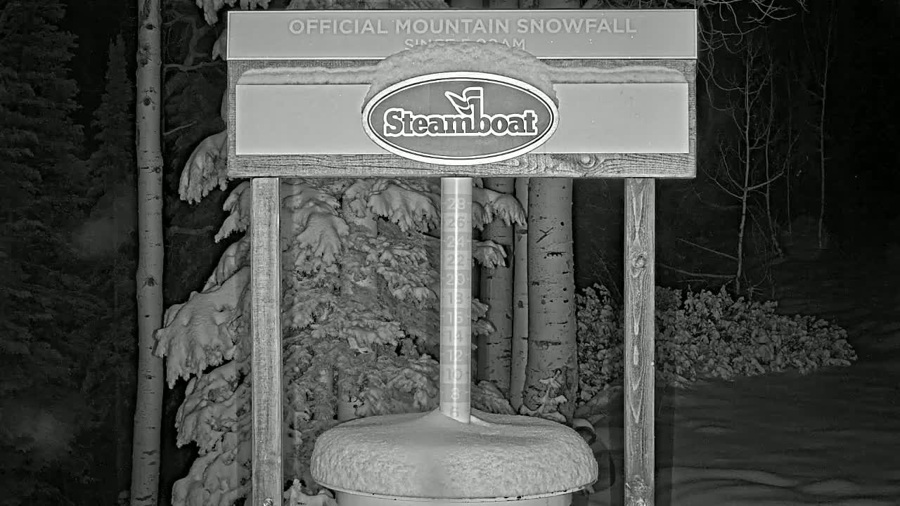 A snow-covered snow stake and sign are illuminated at night during a snowfall, surrounded by snow-covered trees and bushes.