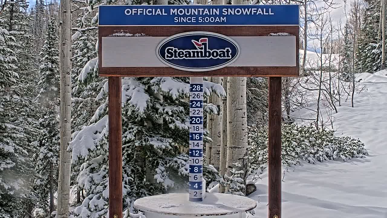 A snow-covered mountain landscape with a snow depth gauge showing recent snowfall, surrounded by snow-laden evergreen trees and bare deciduous trees.